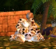 A pile of skulls.