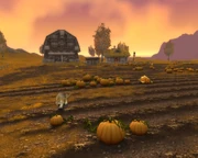 Furlbrow's Pumpkin Patch