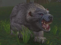 Image of Vicious Gray Bear