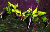 Image of Giant Webwood Spider