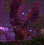 "To be in the presence of the Oracle Tree... it is almost to feel wisdom take form."