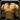 Rawhide Tunic