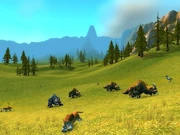 The Golden Plains of Mulgore