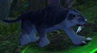 Image of Shadumbra