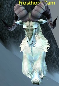 Image of Frosthorn Ram