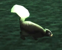 Image of Skunk