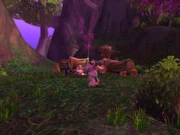 The innermost camp in Gnarlpine Hold