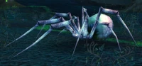 Image of Greater Spindleweb