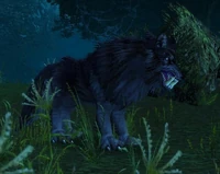Image of Black Ravager