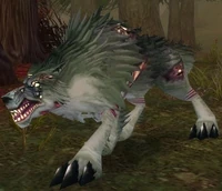 Image of Diseased Wolf
