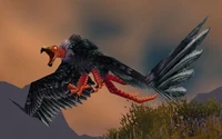 Image of Mesa Buzzard