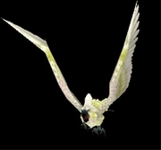 A Cockatiel companion.