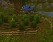 Mirror Lake Orchard