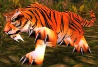 Image of Young Stranglethorn Tiger
