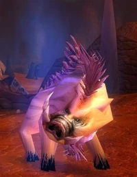 Image of Ashmane Boar