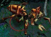 Nerubian as seen in Warcraft III