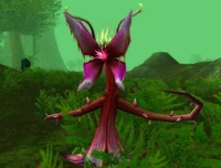 Image of Bloodpetal Lasher