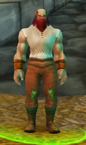 Image of The Defias Traitor
