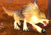Image of Coyote Packleader