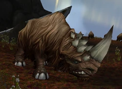 A rhinoceros in the Borean Tundra