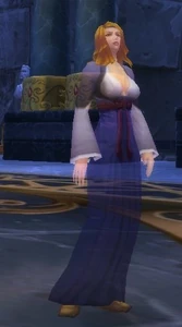 Image of Phantom Guest