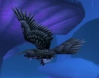 Image of Rook