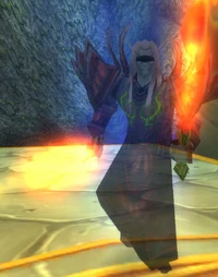 Image of Illidari Highlord