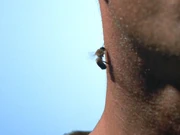 A bee on a repairman's neck in 1996.