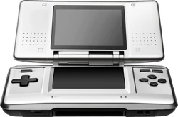 The Nintendo DS