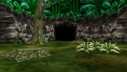 The Woods of Mystery