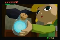 Link holding a Forest Firefly in a bottle