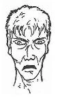 An illustration from The Zombie Survival Guide