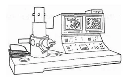 Illustration from The Zombie Survival Guide