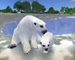 Polar Bear