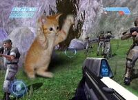 https://images2.wikia.nocookie.net/__cb20070316114508/halo/images/thumb/9/9e/Halo_CAT_ATTACK.JPG/200px-Halo_CAT_ATTACK.JPG