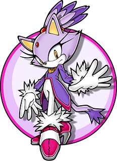 Blaze the Cat - The Nintendo Wiki - Wii, Nintendo DS, and all things ...
