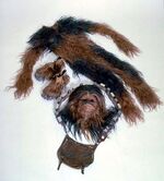 Chewie suit btm