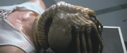 http://images2.wikia.nocookie.net/__cb20080712194334/avp/images/thumb/b/bb/Alien-The_Facehugger.png/180px-Alien-The_Facehugger.png