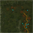 Camp Kidney