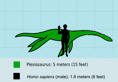 Plesiosaurus - Fossil Wiki, the paleontology wiki