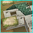 IZ09.png