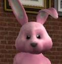 Bunny.jpg