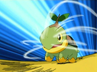 http://images2.wikia.nocookie.net/__cb20090607173204/es.pokemon/images/8/8a/EP475_Turtwig_usando_placaje.png