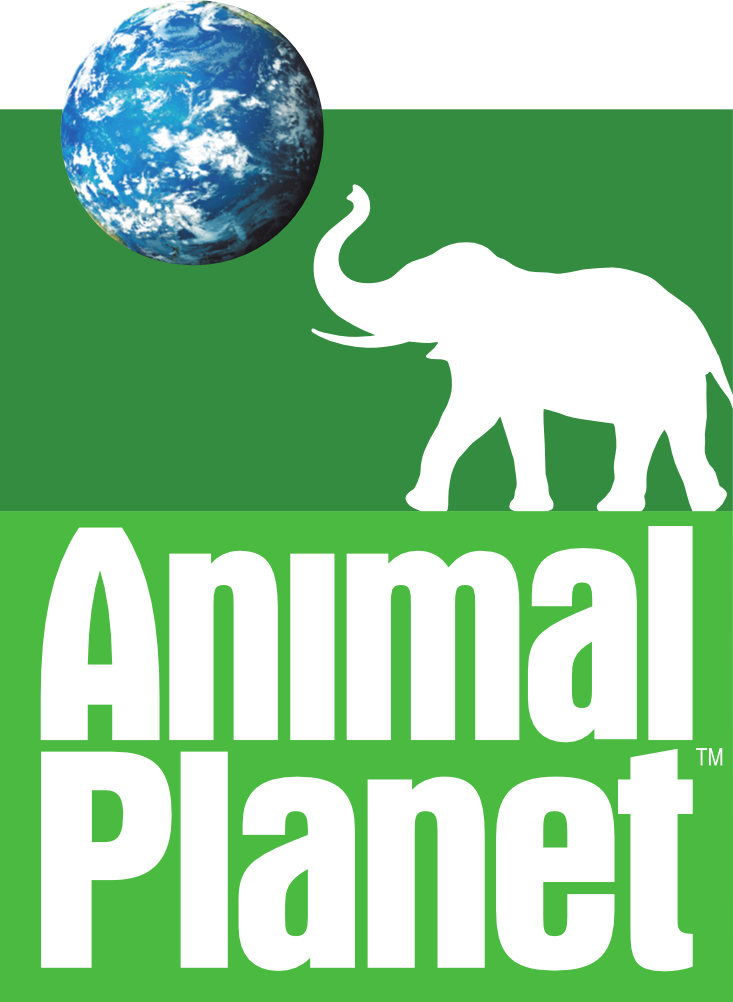 Animal Planet (International) - Logopedia, the logo and branding site