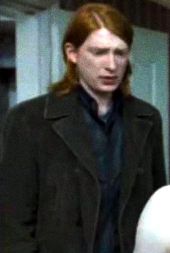 William Weasley - Harry Potter Wiki