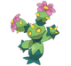 Maractus