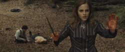 250px-Hermione_casting_protective_enchantments.JPG