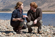 180px-DH1_Ron_and_Hermione_picking_up_stones.jpg