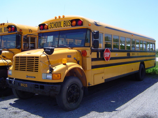 International 3800 (School Bus) - Trucks Wiki