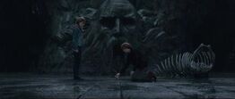 262px-Ron_and_Hermione_in_the_Chamber_of_secret.jpg